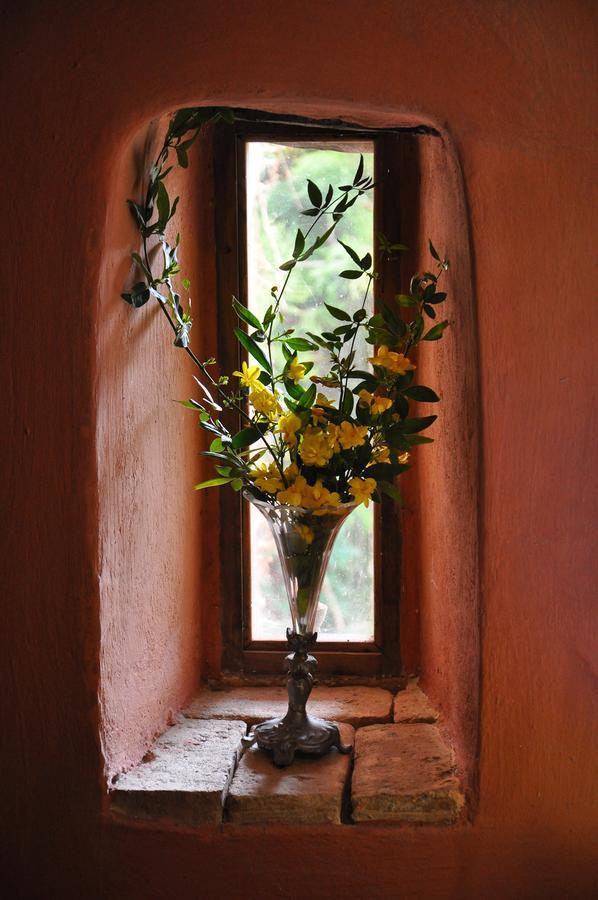 Villa Domenicale Agios Markos ภายนอก รูปภาพ