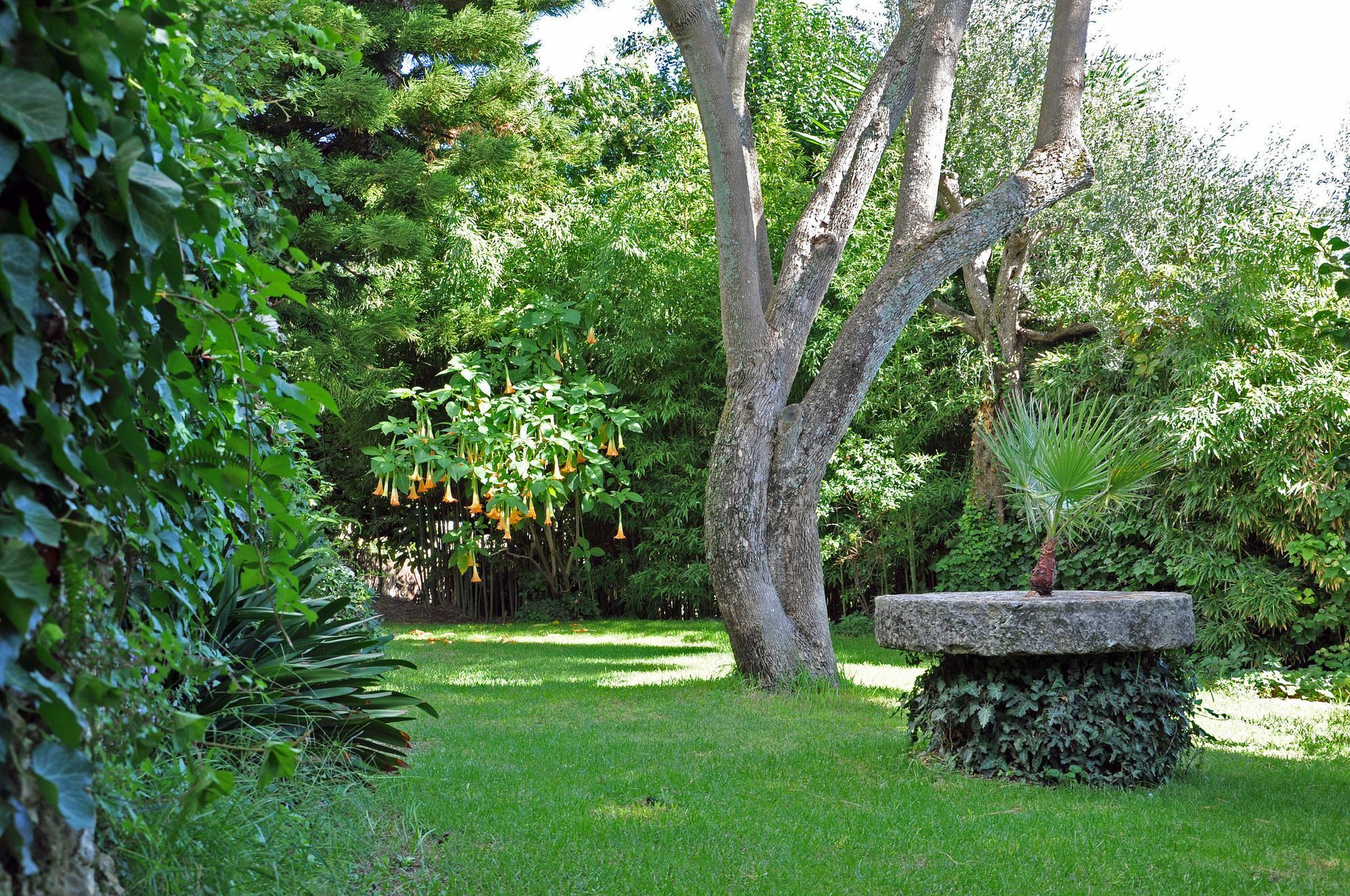 Villa Domenicale Agios Markos ภายนอก รูปภาพ